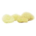 Natural Baby Sponges