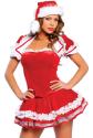 Santas Maid Costume