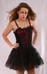 Velvet & Mesh Gothic Dress
