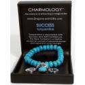 Charmology Success Bracelet