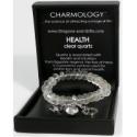 Charmology Health Bracelet