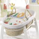 Moses Basket and Stand