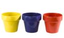 Plant Pots