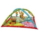 Play / Gym Mat