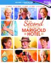 The Second Best Exotic Marigold Hotel Blu-ray