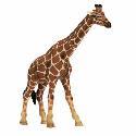 Schleich Giraffe