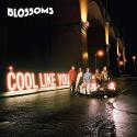 Blossoms CD