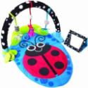 Lady Bug Play Mat