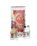 Smirnoff Mini Flavours