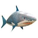 Animal planet air swimmer shark