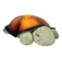 Cloud b Twilight Constellation Night Light, Turtle