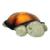 amazon.com
