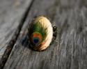 peacock ring 2