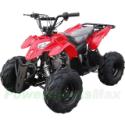 ATV-F014 110cc