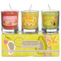 Pacifica Fruits of Paradise Mini Votives