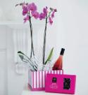 Orchid Gift Box