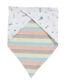 Bandana Bib - Brights