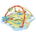 Baby Play Gym