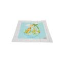 Fisher Price Precious Planet Big and Small Splash Mat