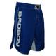 Fight shorts (any)