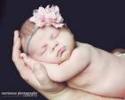 Newborn Photo Shoot