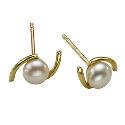 9ct Gold Freshwater Pearl Stud Earrings