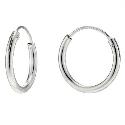 Silver Hinged Hoop Earrings