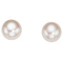 9ct Gold Freshwater Pearl Stud Earrings