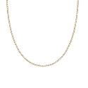 9ct Yellow Gold Curb Necklace