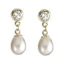 9ct Yellow Gold Fresh Water Pearl Earrings