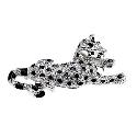 Black and Clear Leopard