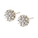 9ct Yellow Gold Diamond Earrings