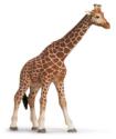 Schleich Female Giraffe