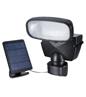 Solar Powered Security Light for the Garden