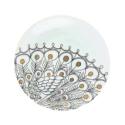 Peacock motif dinner plates