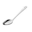 Lakeland Serving Spoon