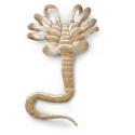 Alien Facehugger Plush