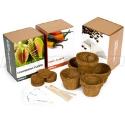 Grow It (Tea & Coffee Plants)