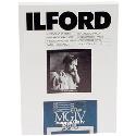 Ilford MG4RC44M 16x20 inch 50 sheets 1771679