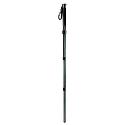 Gitzo GM5541 Monopod with ALR, G-Lock, and Belt Clip